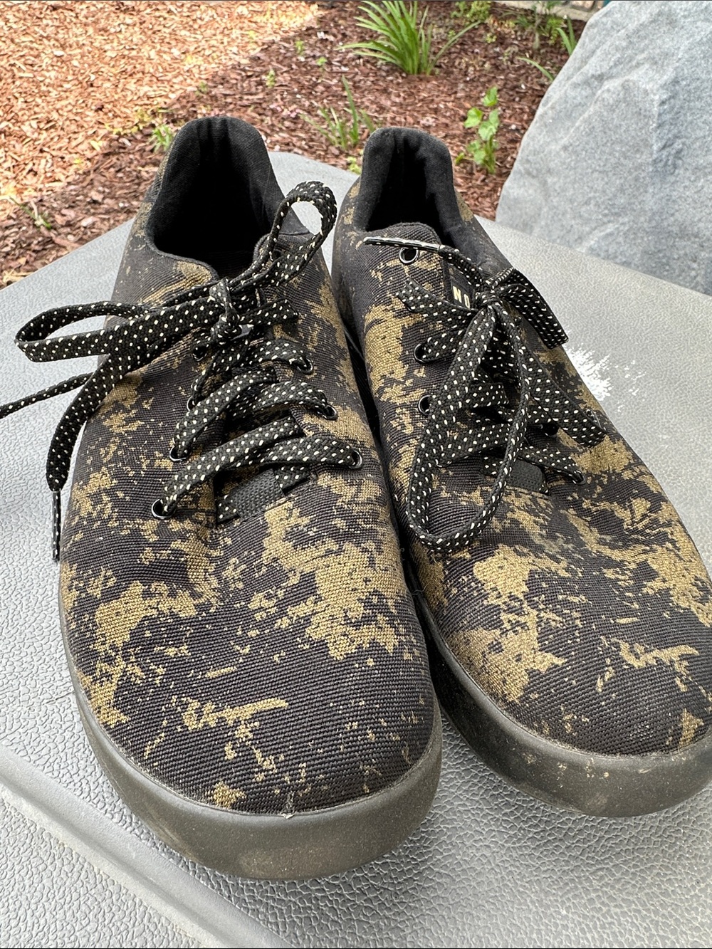 Men's // Women’s Low-Top Canvas Sneakers in Black and Gold